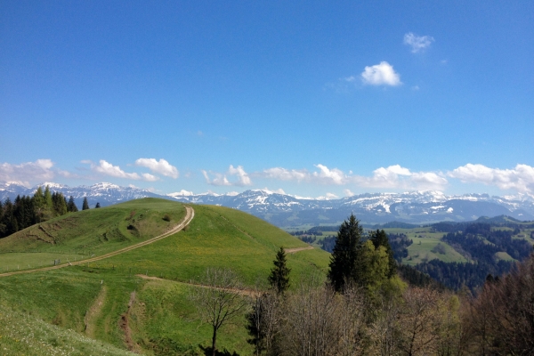 Hinauf in die Sonnenstube im Napfgebiet