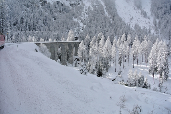 Féerie hivernale à Preda