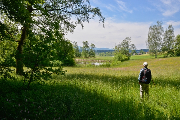 Visite du Fürstenland II