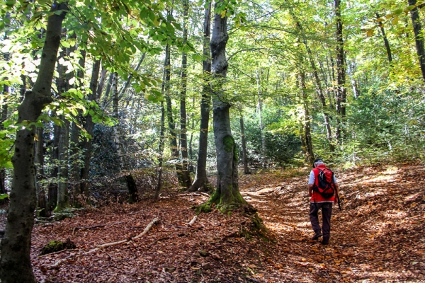 Vom Luganer Panoramaberg nach Morcote