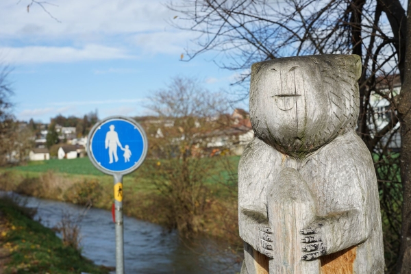 Randonnée idyllique à travers le Churz- et le Langloch jusqu'à Schaffhouse