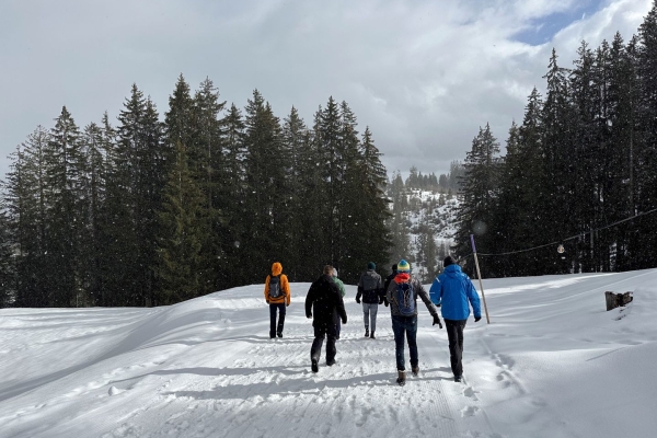 Panoramawanderung über verschneite Hochmoorflächen