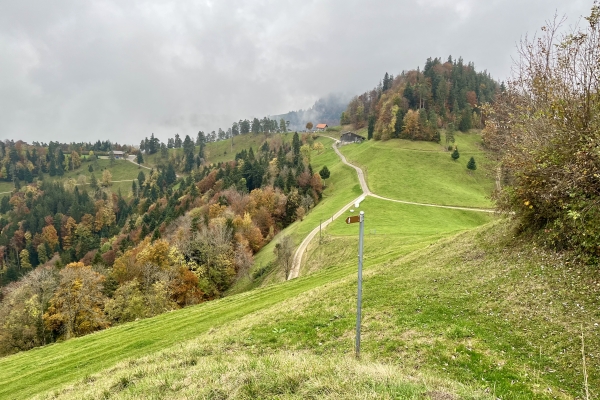 Halbtageswanderung Mosnang - Schlosshöchi - Libingen