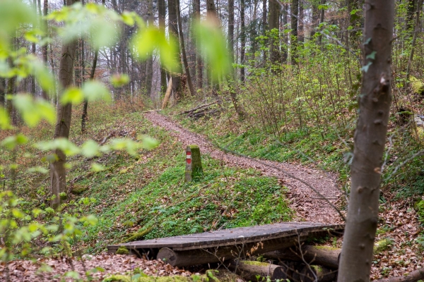 Historische Wanderung zur Eisernen Hand am Basler Rheinknie