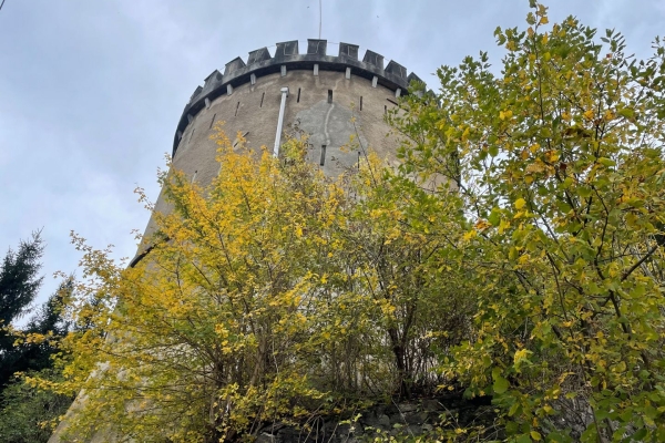 Feurige Herbstwanderung in Lichtenstein mit Aussicht aufs Rheintal