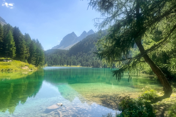 Wilde Wasser auf der Via Albula