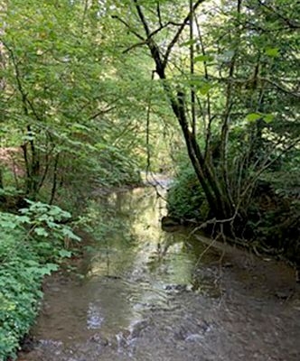 Autour du Wohlensee