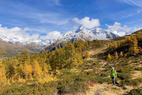 Wanderung zum Schaplersee im Landschaftspark Binntal