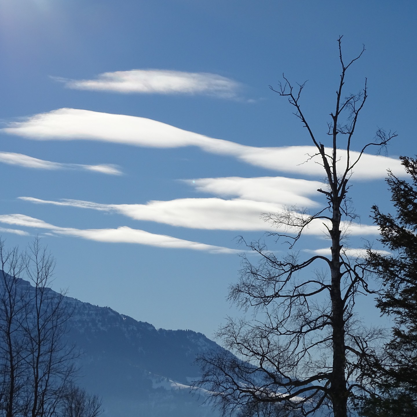 Altocumulus-lenticularis