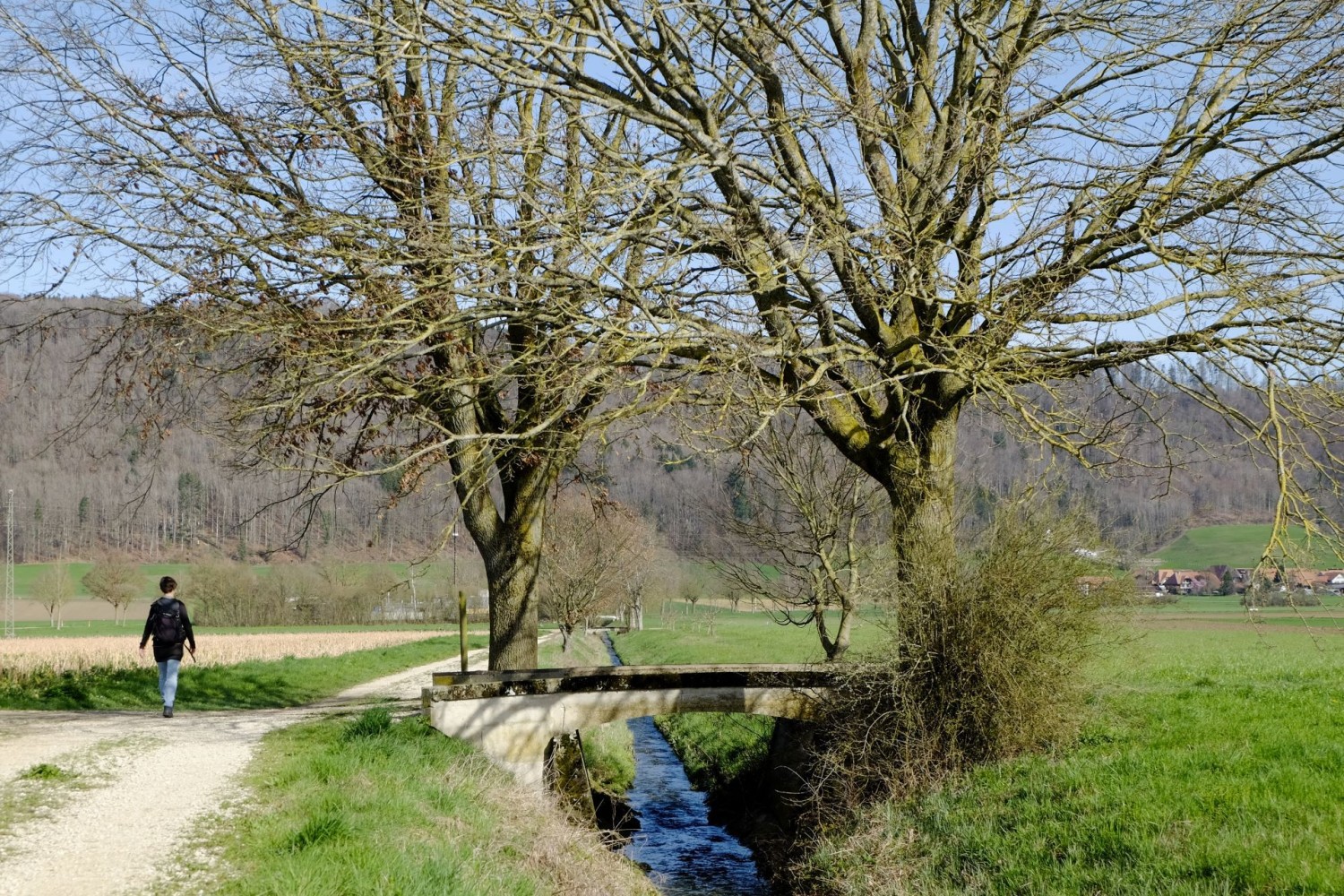 Vom solothurnischen Messen dem Messibach entlang nach Oberramsen.