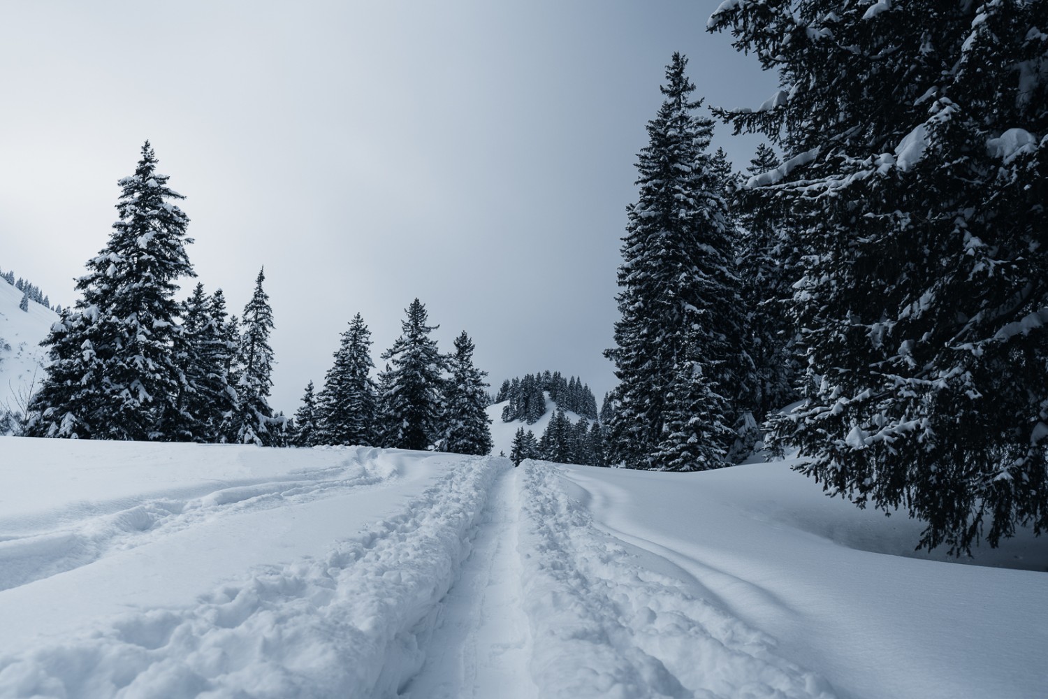 Sentier hivernal de raquettes à neige à côté des traces de slalom des skieurs de randonnée. Photo: Jon Guler