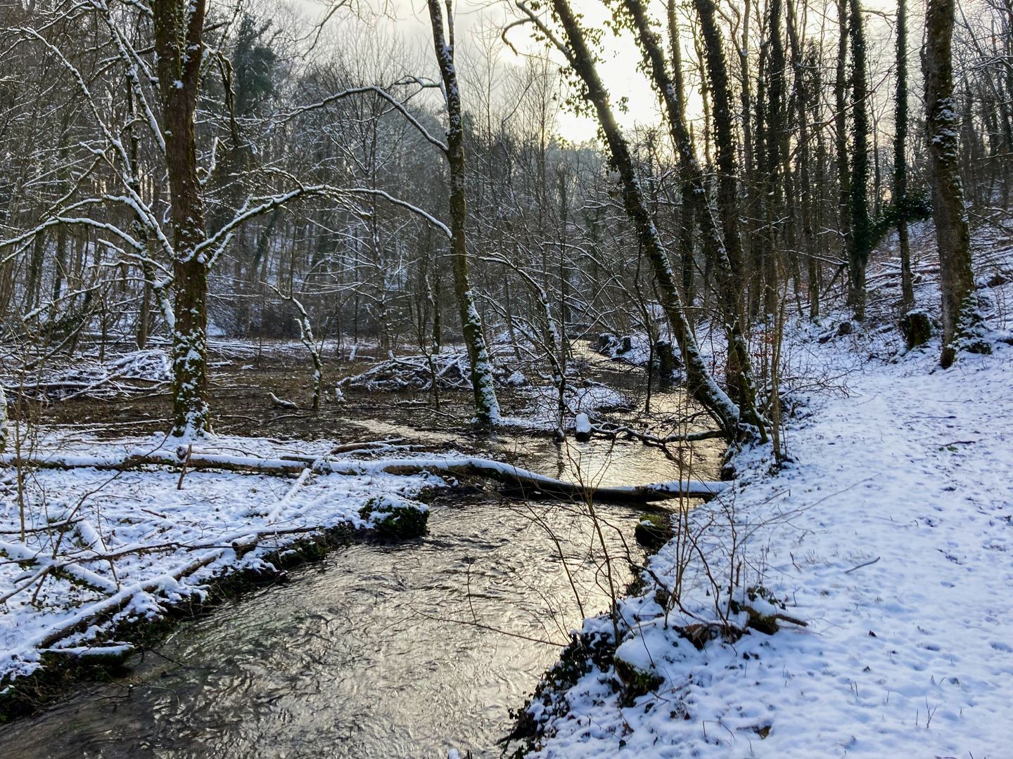 Auf dem Eiszeitpfad bei Wäier.