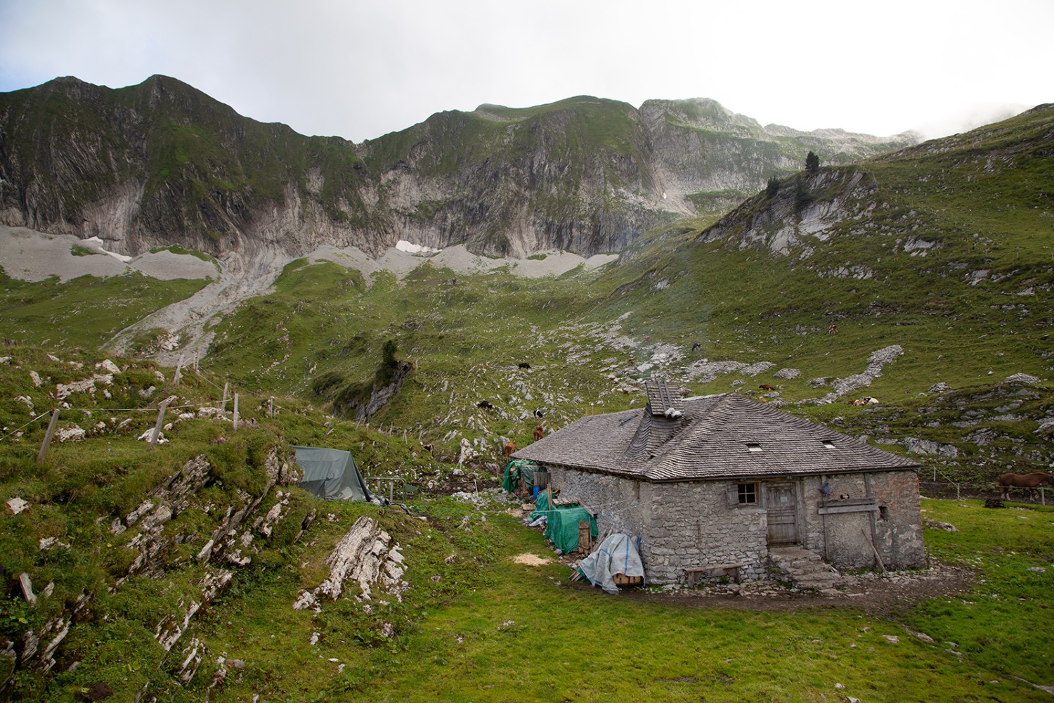 La cabane d’alpage des Morteys est sise dans une cuvette sauvage aux pieds des versants abrupts du Vanil Noir. Photos: Markus Ruff