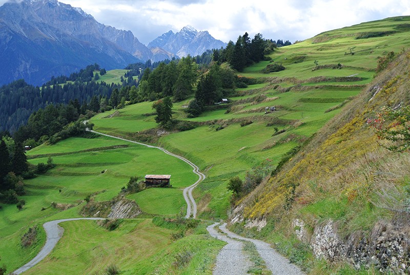 Der Warzenbeisserweg führt Familien unterhaltsam ins Tal. Bilder: Rémy Kappeler