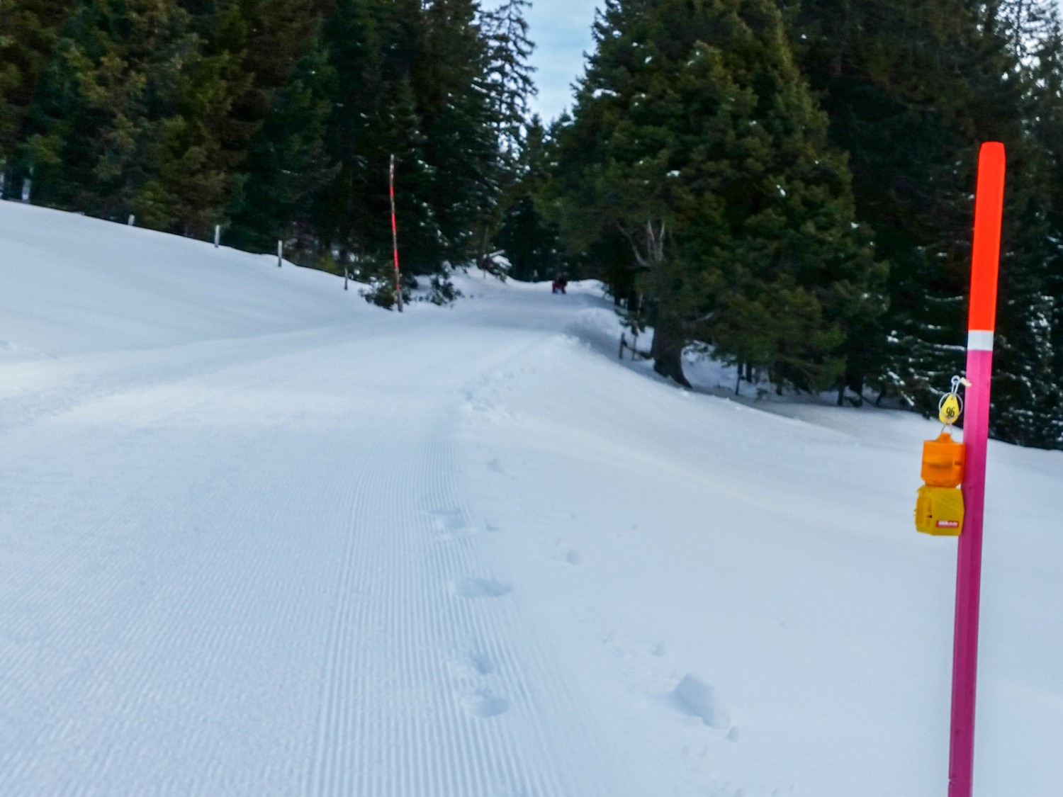 Die Route ist mit pinkfarbenen Pfosten und Bändern mit einem Schneeschuh-Piktorgramm signalisiert.