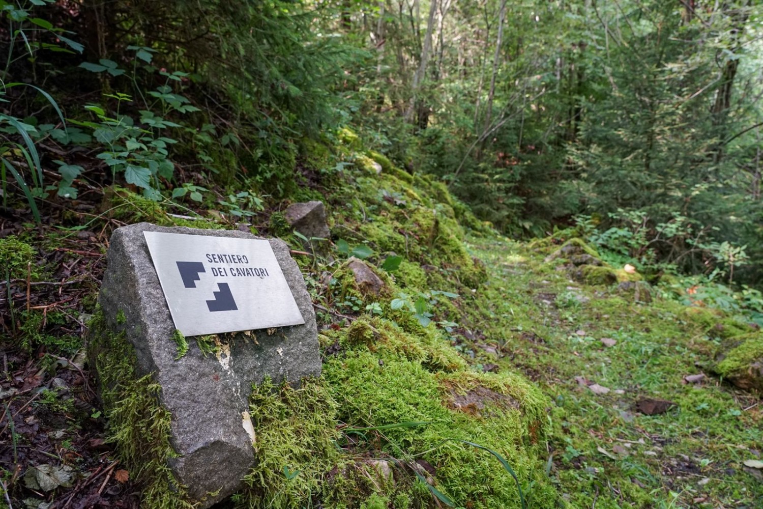 Le Sentiero dei Cavatori, ou sentier des carriers, descend par la forêt de Guberwald jusqu’au bord de la rivière Grosse Schlieren.