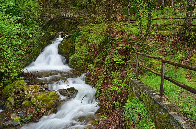 Erfrischend schlängelt sich der Bach nahe Vairano durchs Frühlingsgrün. Foto: natur-welten.ch