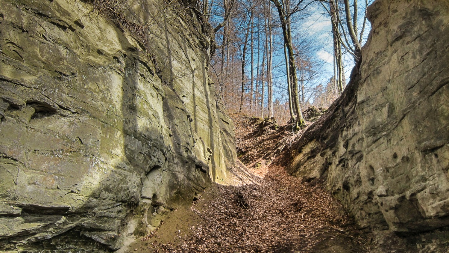 Etonnant «Leuenhohle»: ce chemin creux taillé à la main dans le grès au Moyen-Age était un élément de l’ancienne voie principale qui menait à Lucerne. Photo: Gerhard Eichinger 