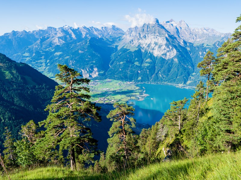 La vue plongeante sur la vallée de la Reuss et le lac d’Uri n’en est que plus saisissante. Photo: Franz Ulrich