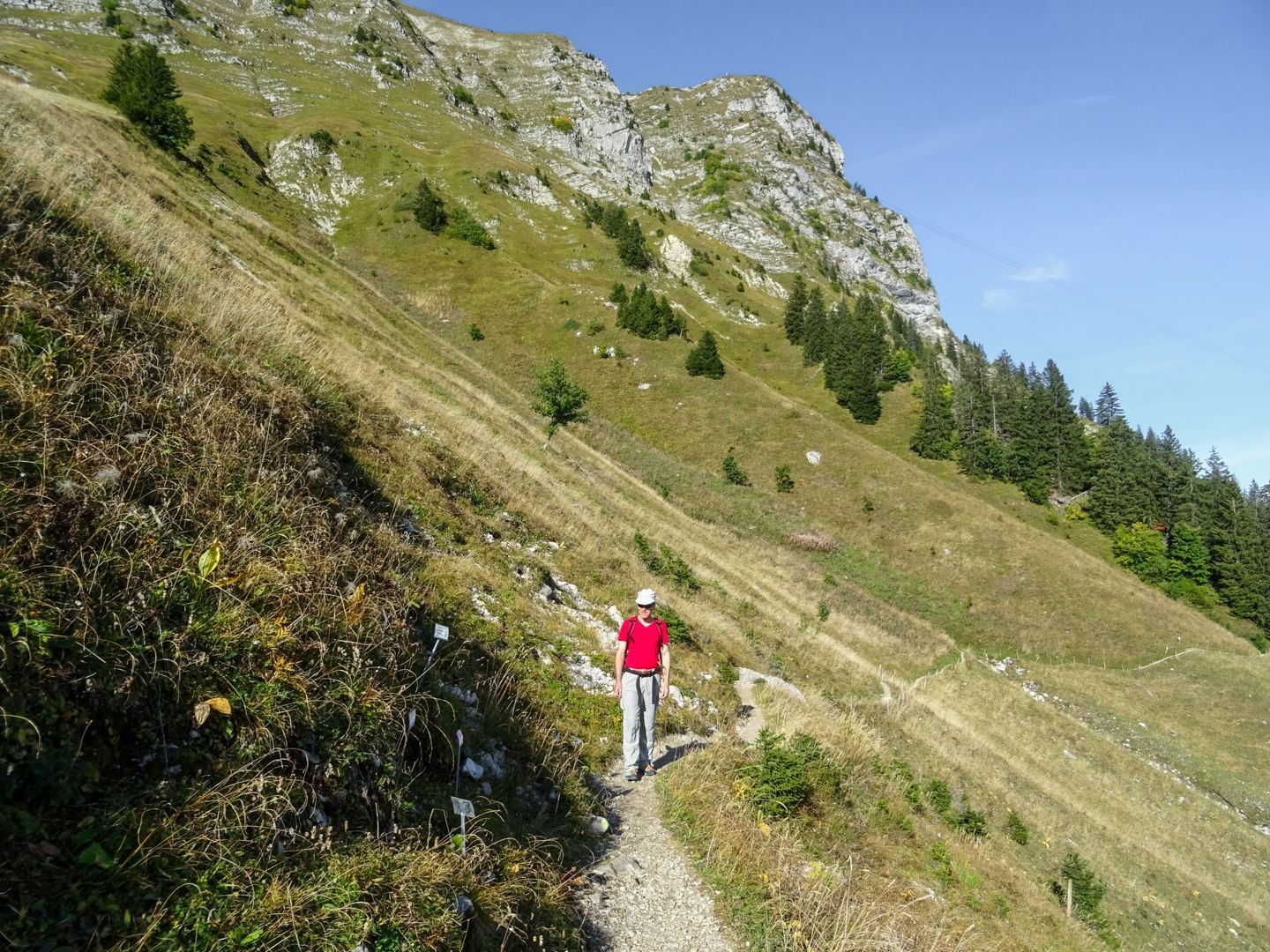 Sur le versant oriental du Moléson