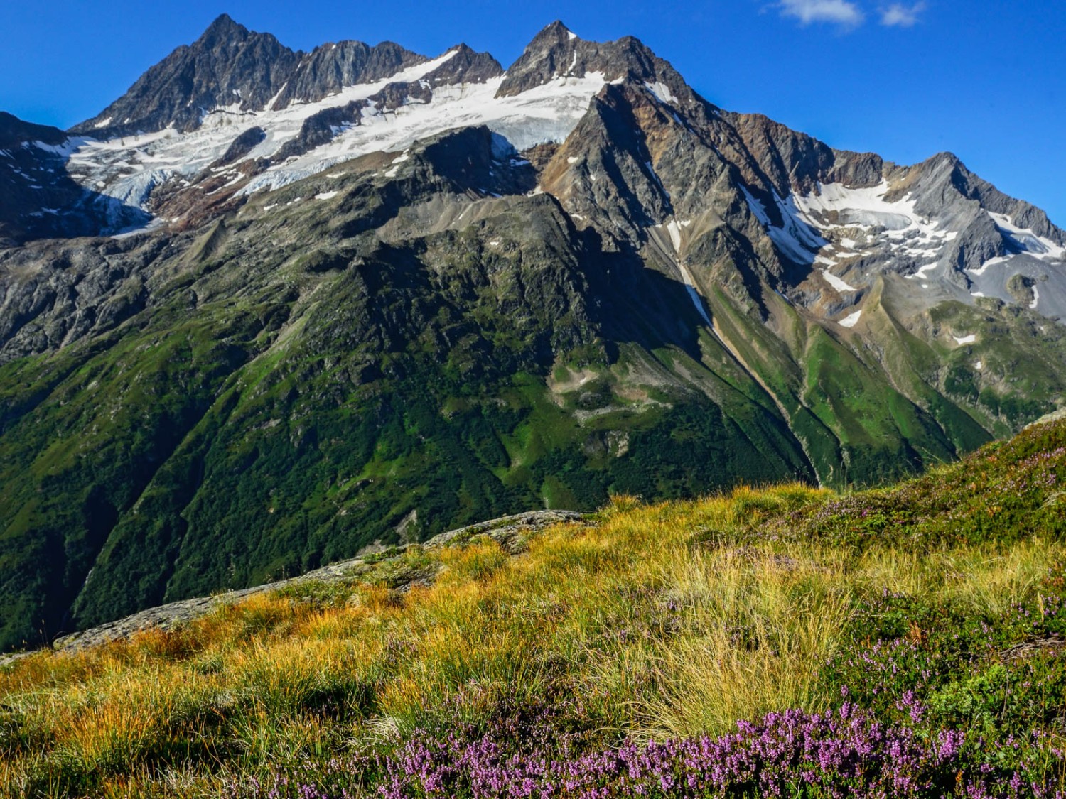 Während fünf Monaten zieht es die Wanderer ins Meiental. Dann lockt eine karge, schöne Einsamkeit.
Foto: natur-welten.ch