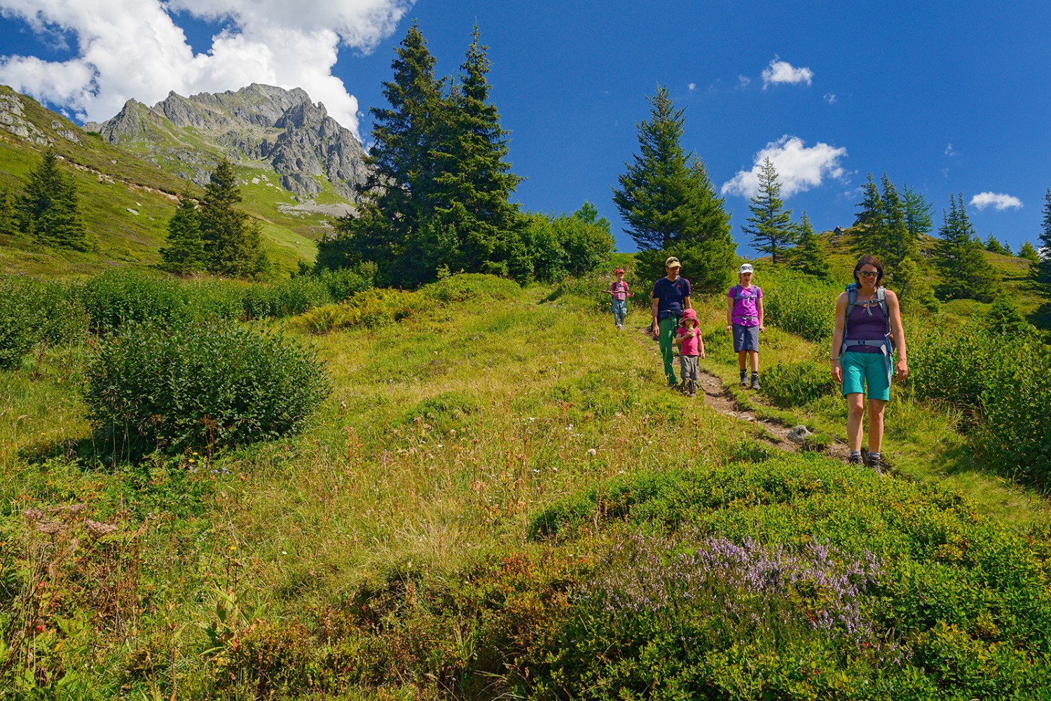 Nahe der Sellflue werden die Tannen spärlich, dann auch die Heidelbeeren. Foto: natur-welten.ch