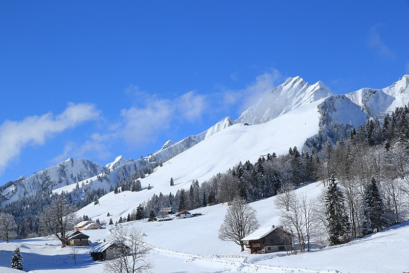 La terrasse plate des Prés d’Albeuve. Au-dessus, les vastes pâturages au-dessous de la Dent de Lys.