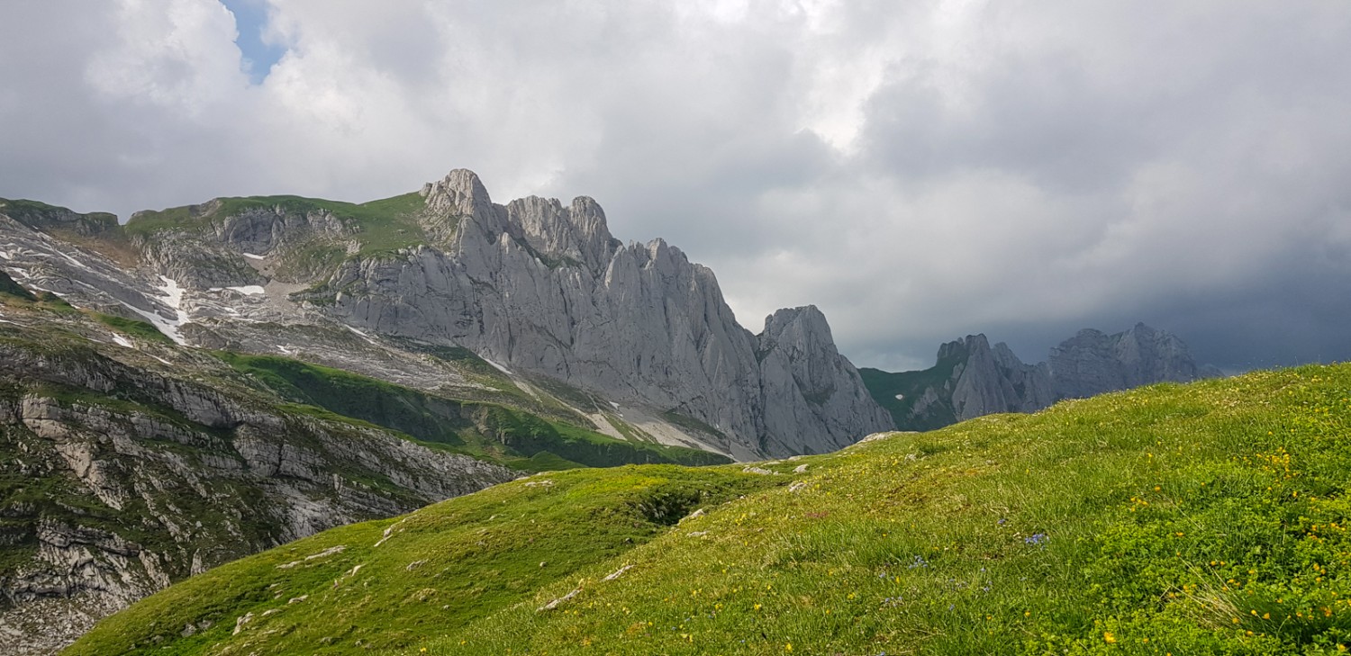 La selle du Mutschensattel présente un contraste typique de la moyenne montagne: verdure et rocaille. Photo: Patricia Michaud