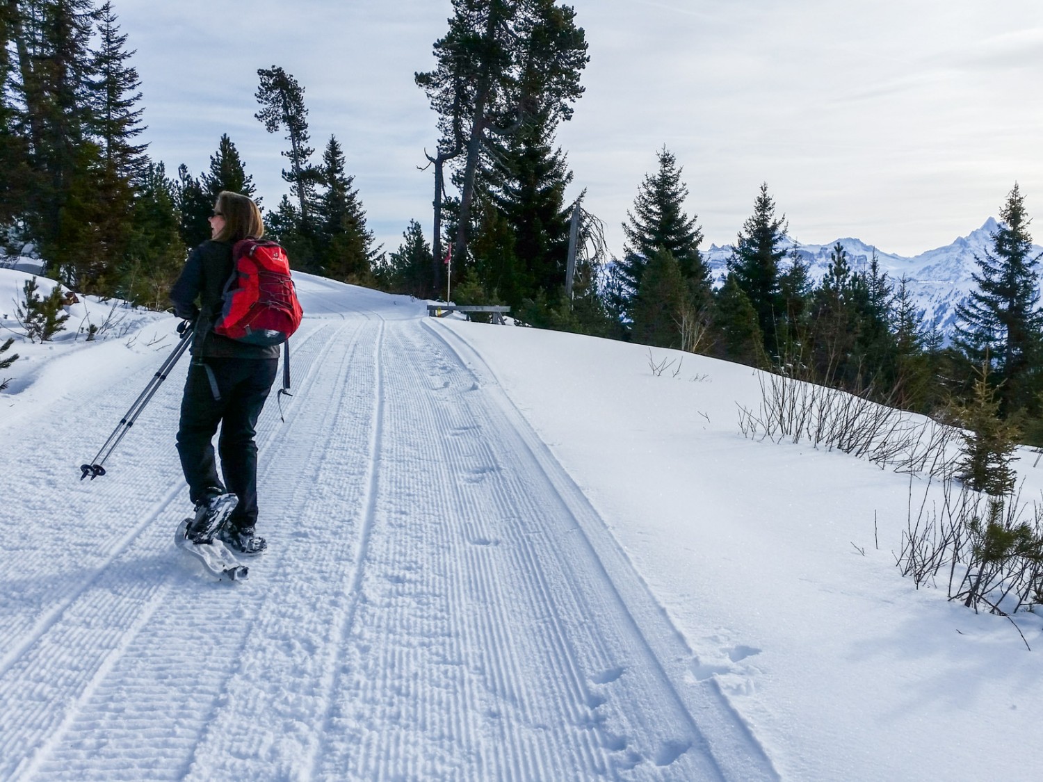 Zunächst verläuft die Tour dem Winterwanderweg entlang. 