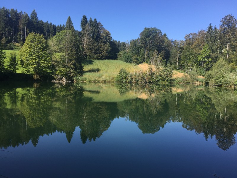 Ist oben unten und unten oben? Der Bachtelweiher. Foto: Vera In-Albon