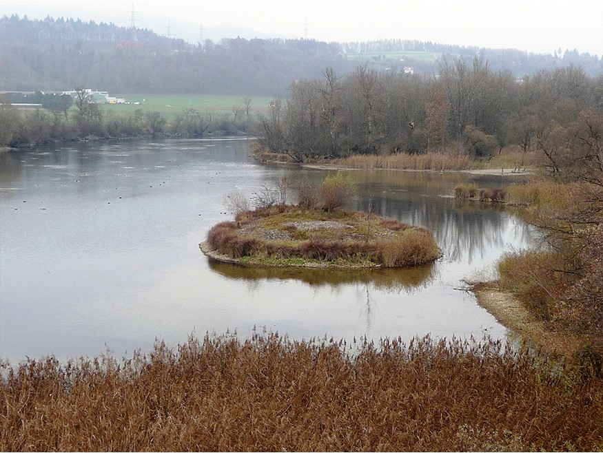 Die alte Aare. Bild: Hans Schüpbach, KGS