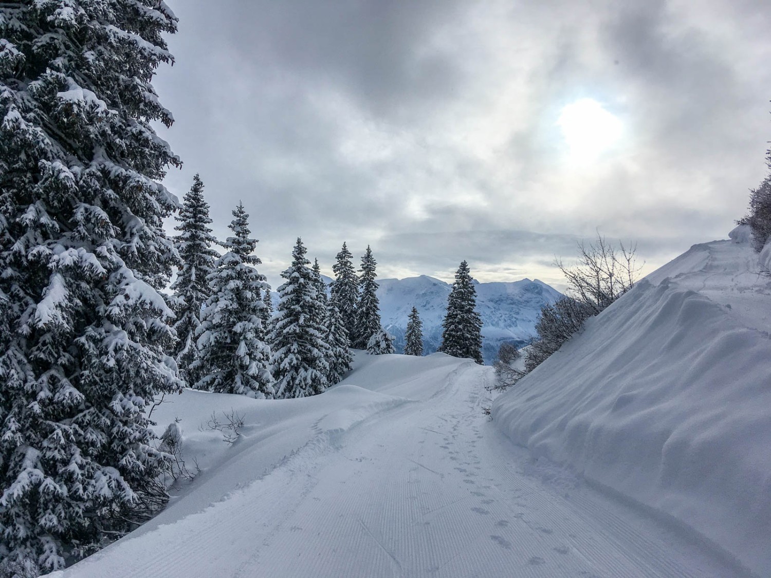 Der Weg führt durch abgelegene Waldabschnitte. Bild: Claudia Peter