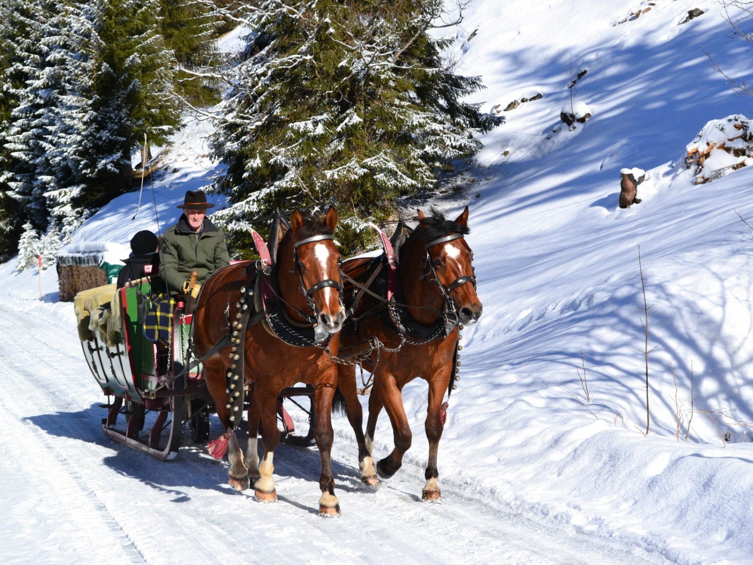 En été, les calèches circulent autour du lac de Lauenen, en hiver, ce sont des traîneaux tirés par des chevaux.