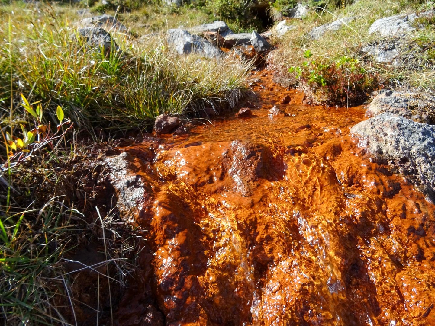 Das Wasser selbst ist klar, nur seine Fliesswege sind rot gefärbt.