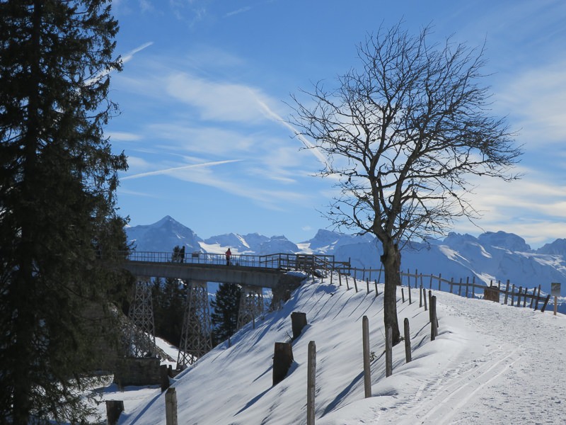 Le chemin de randonnée d’hiver vers Rigi Scheidegg emprunte le tracé d’une ligne ferroviaire désaffectée et passe même par un viaduc. Photo: Andreas Staeger