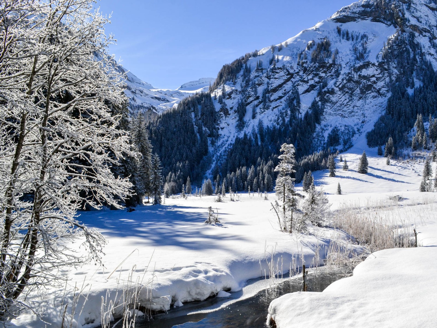 Der Zufluss zum Lauenensee ist nicht gefroren.