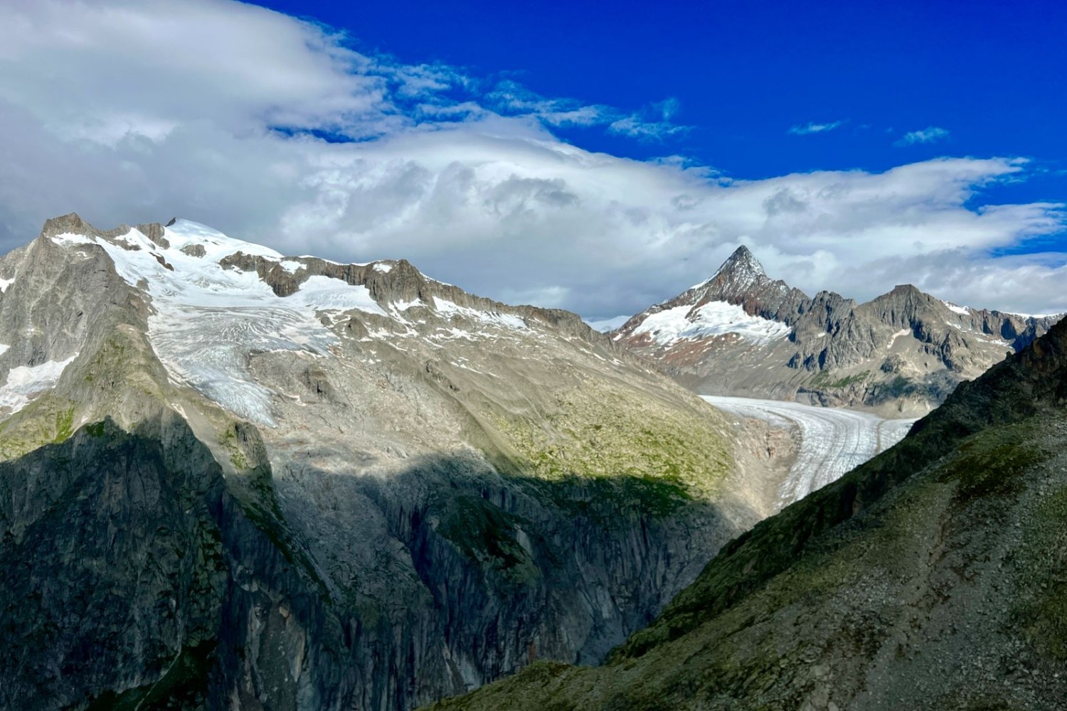 Vue sur le très pointu Finsteraarhorn et le glacier de Fiesch.