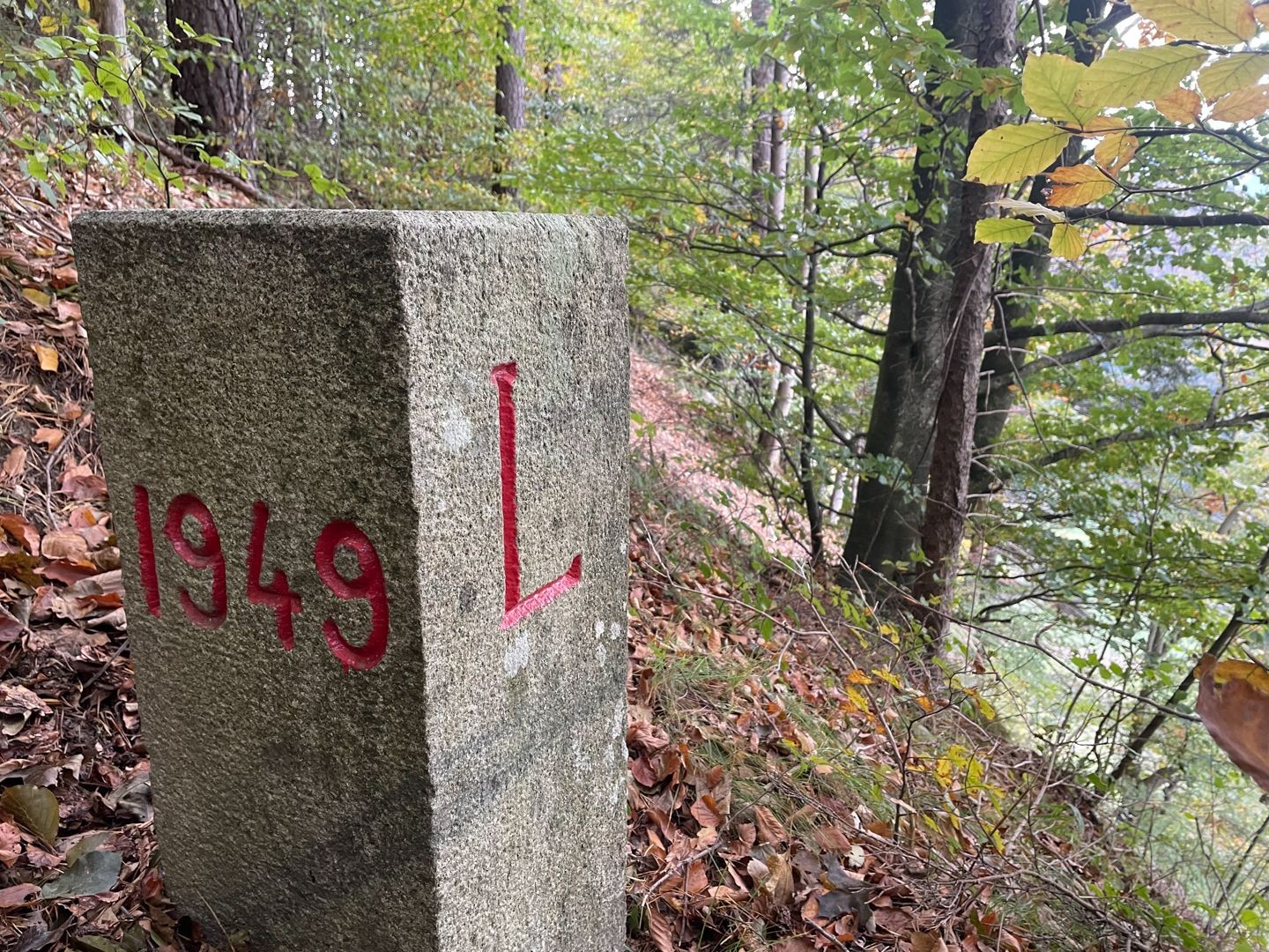 Der Grenzstein Schweiz – Liechtenstein versteckt sich gut im Wald (ist aber auf der Landeskarte violett eingezeichnet).