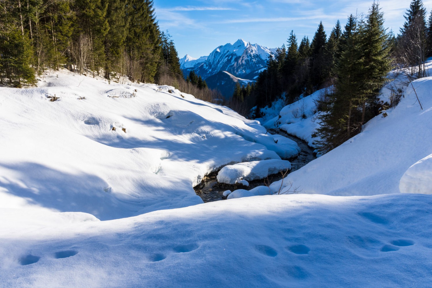 Die goldene Sonne zeichnet ein schönes Licht&#8208; und Schattenspiel in den Schnee.