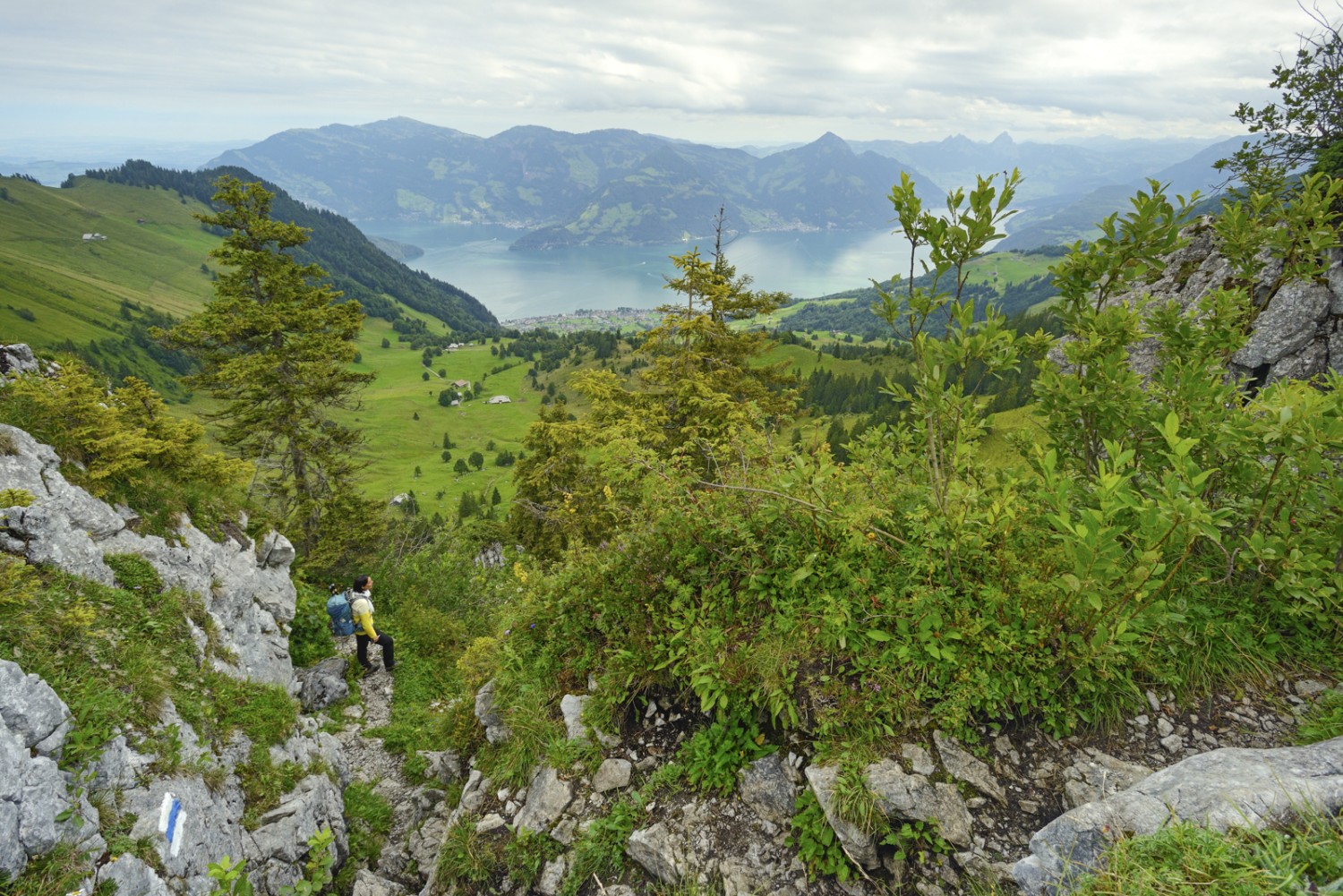 Vue sur les Alpes au-dessus de Beckenried et le lac des Quatre-Cantons. Photo: natur-welten.ch

