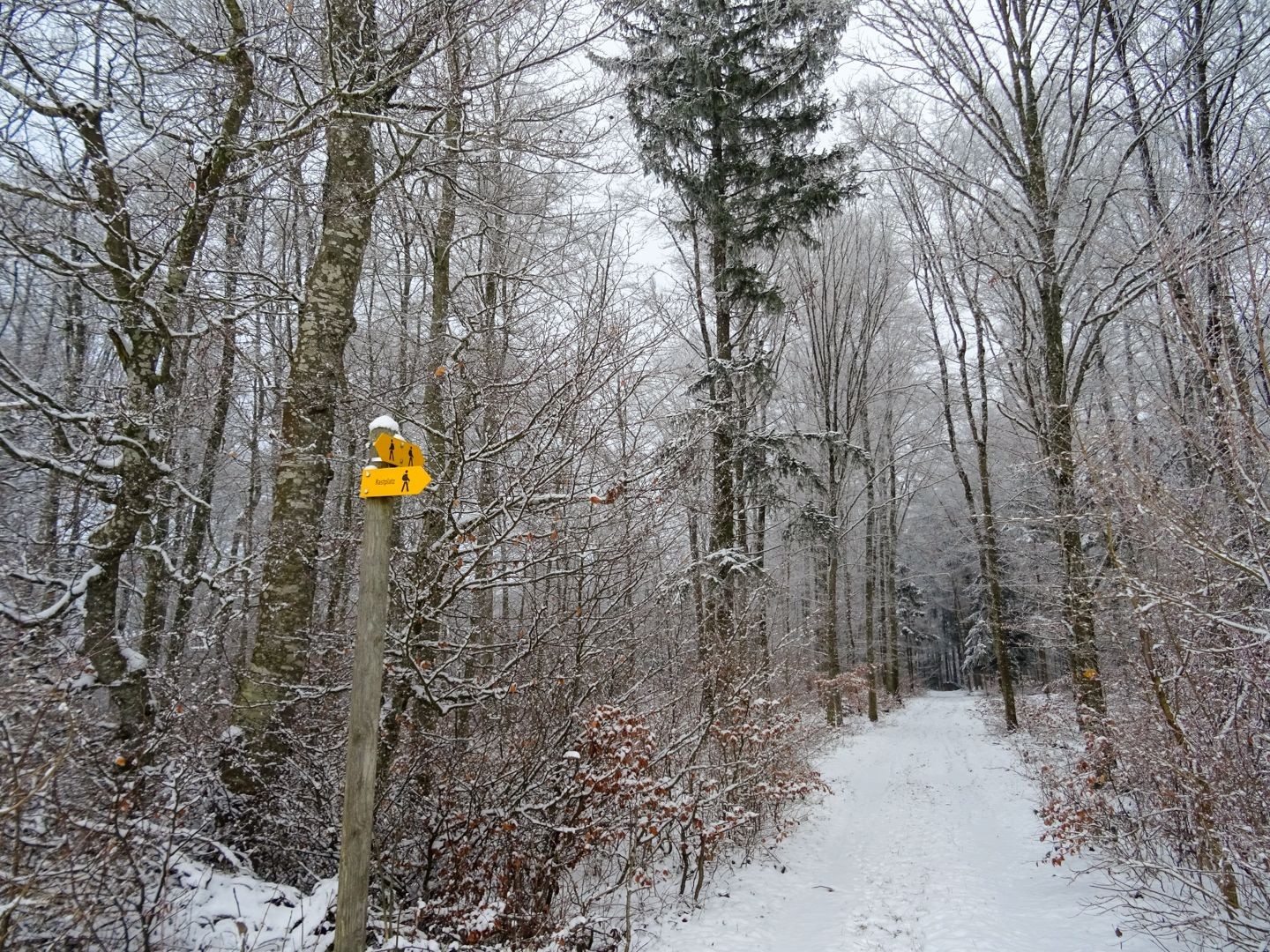 Erster Schnee im Spätherbst auf dem Reiatweg.