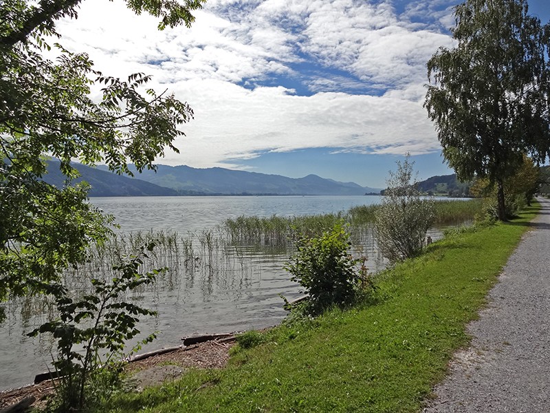 Une rive enchanteresse au bord du lac de Zurich. Photos: Miroslaw Halaba