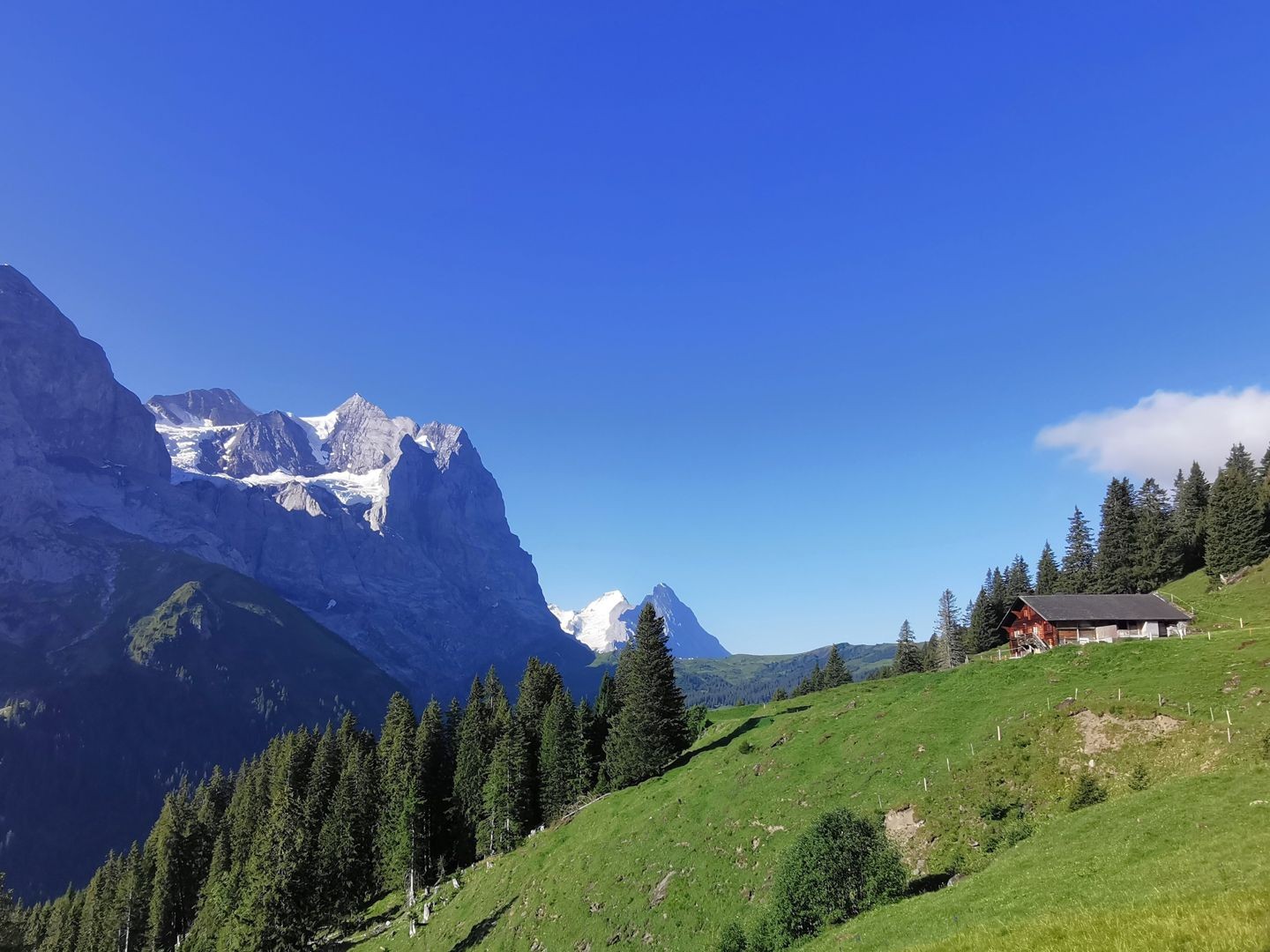 A Mettlen, avec le Wetterhorn au loin.