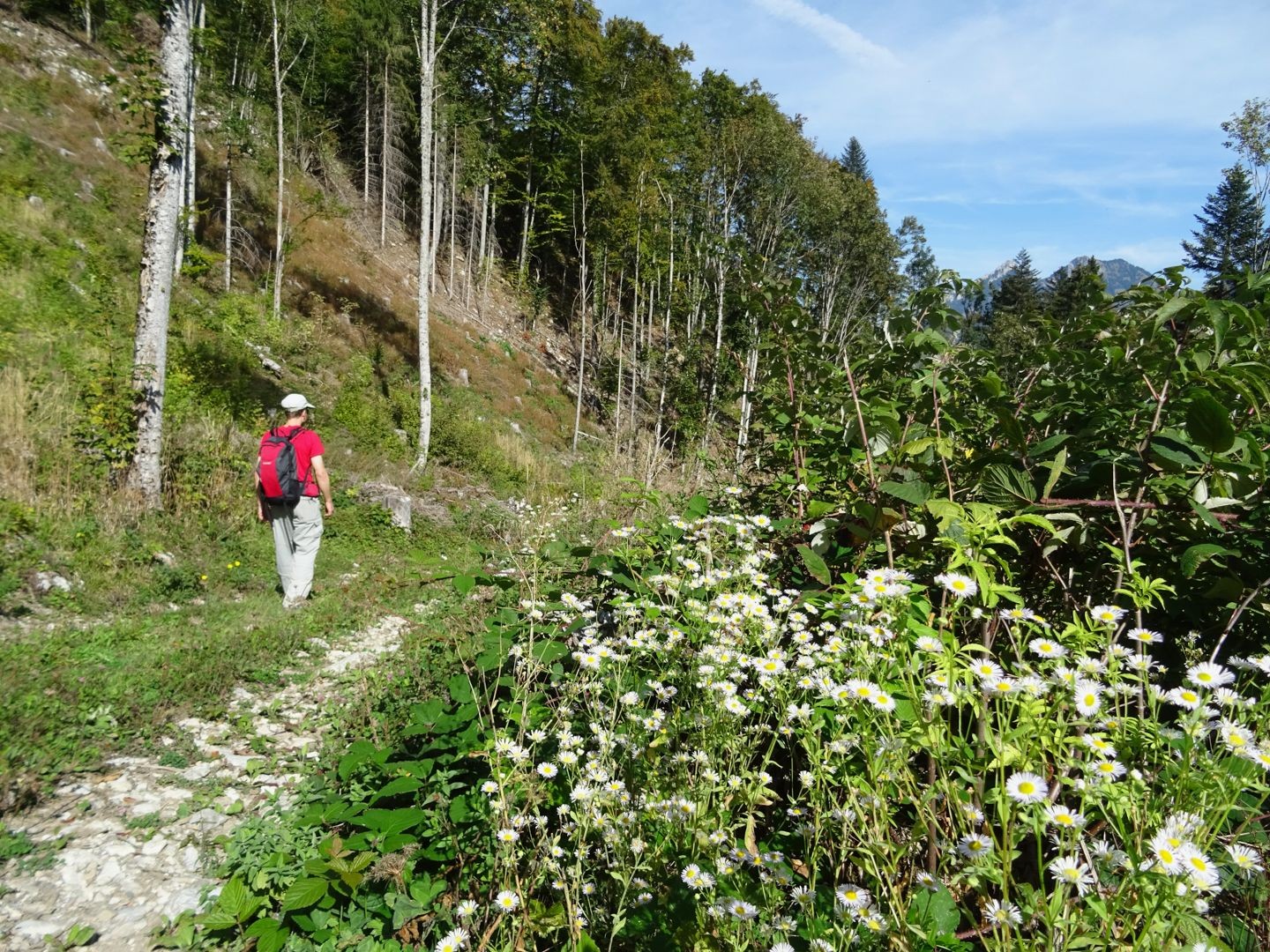 Toujours à la descente, en direction de Neirivue