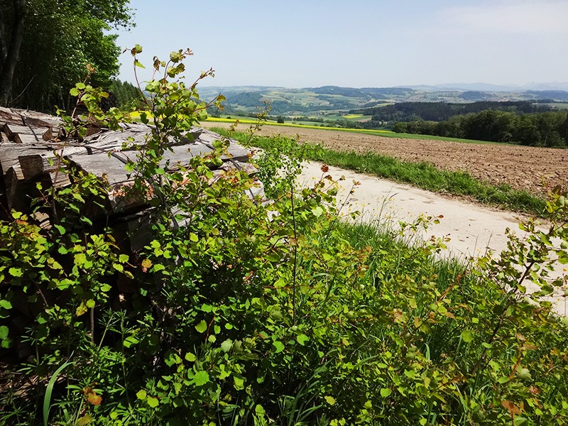 Un beau panorama s’étend vers l’est et le sud. Photos: Miroslaw Halaba