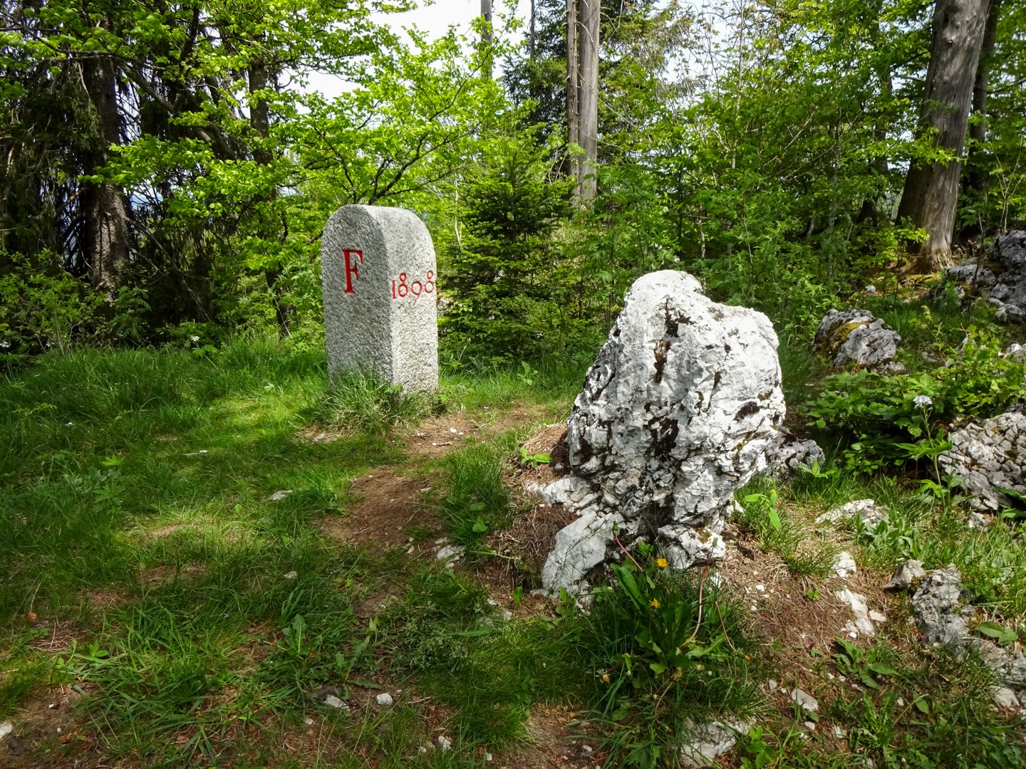 Le passage de la frontière franco-suisse est bien marqué. Photo: Miroslaw Halaba