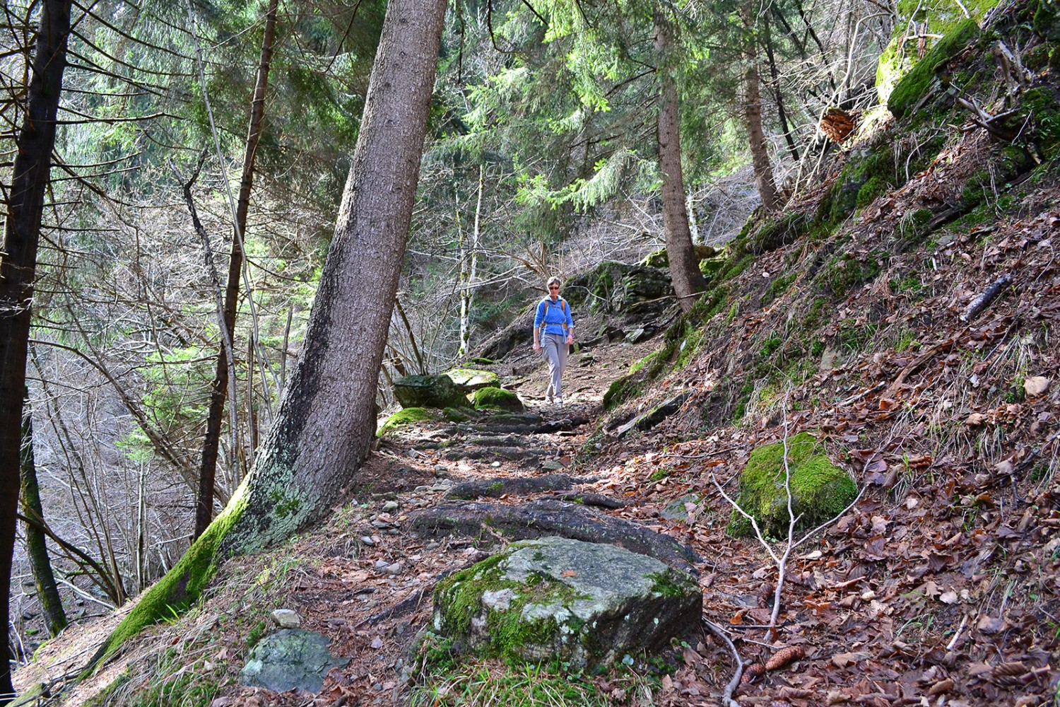 La montée vers Piana Selva passe par une forêt, un passage ombragé bienvenu lorsqu’il fait chaud.