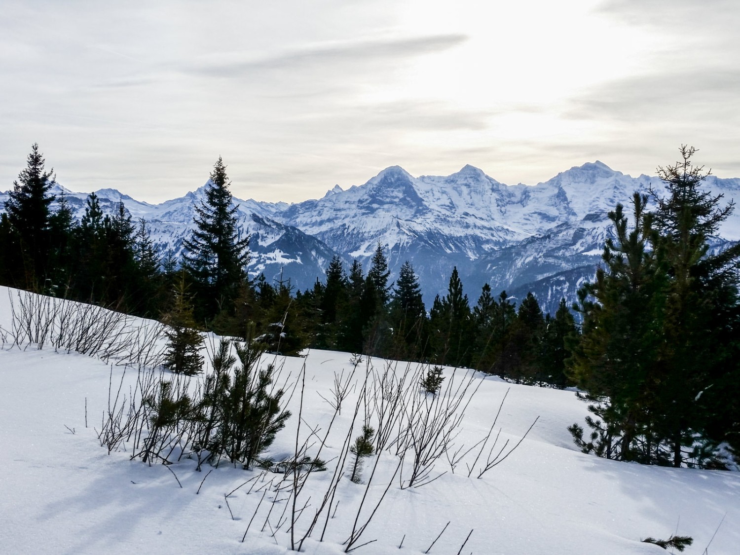 Eiger, Mönch et Jungfrau en robe d'hiver.