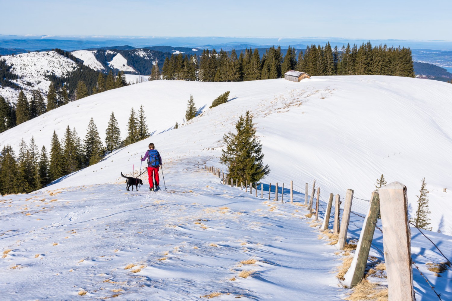 La descente commence doucement jusqu’à la colline Bögliegg, puis la pente s’accentue. 