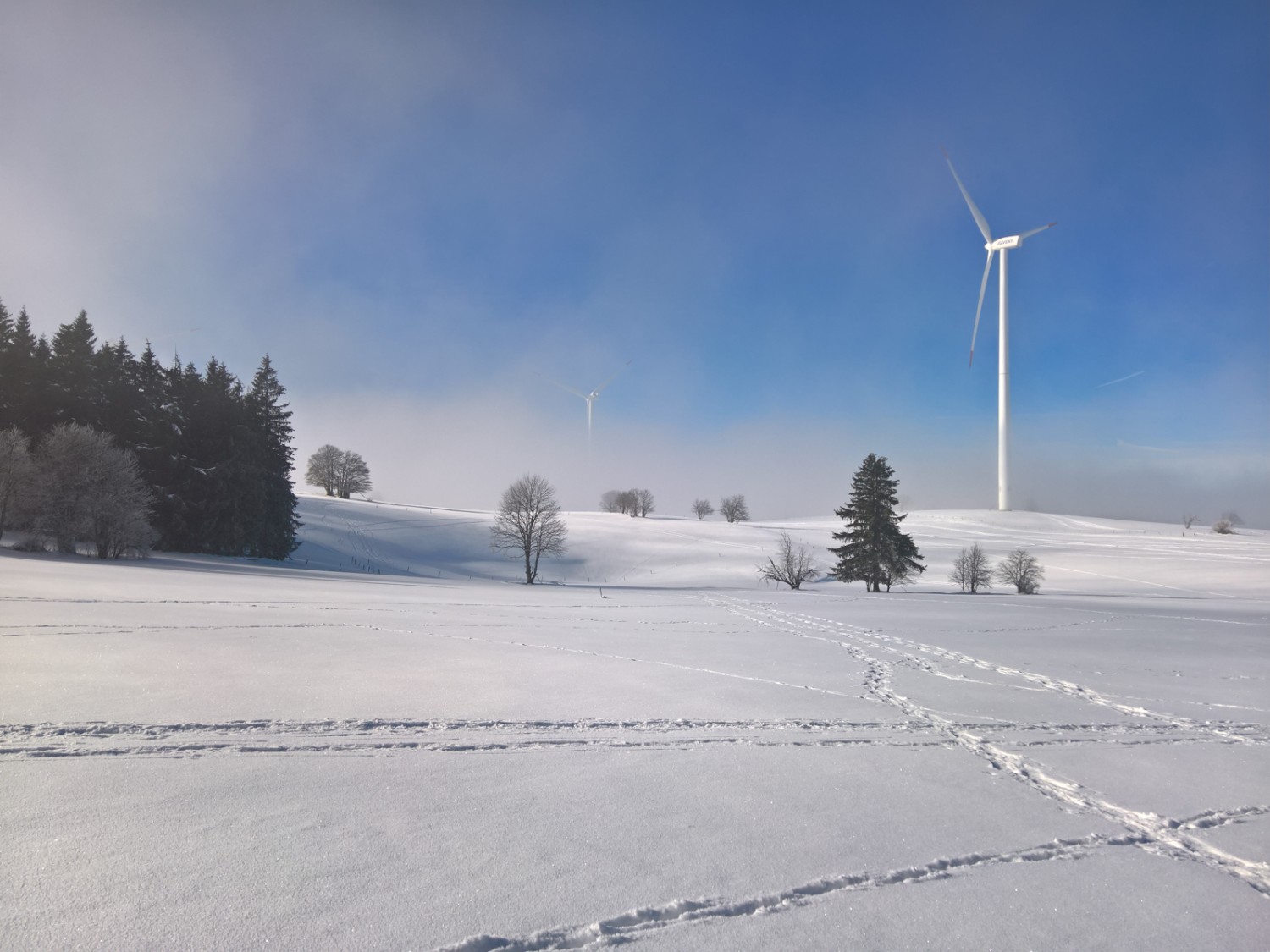 L’itinéraire passe aussi près des éoliennes élancées du parc éolien du Mont-Crosin. Photo: Andreas Staeger